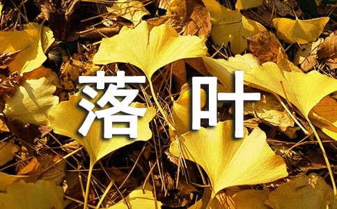 关于落叶的日记