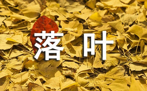 落叶中班语言教案
