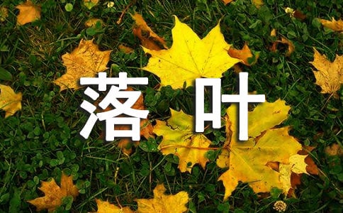 ҶСѧ