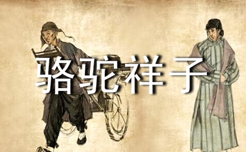 骆驼祥子优秀读书笔记
