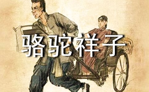 《骆驼祥子》读后感600字
