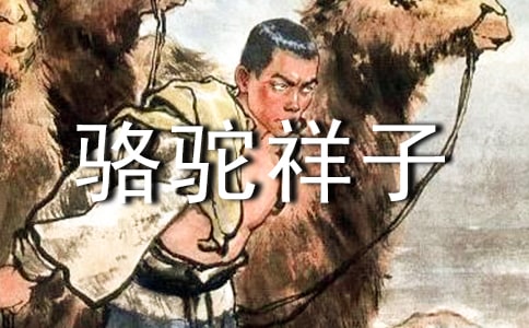 骆驼祥子读后感经典15篇
