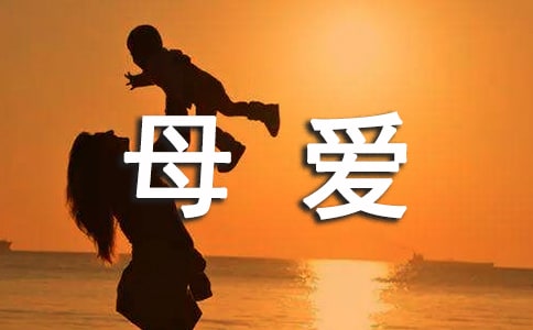 【优选】母爱小学作文