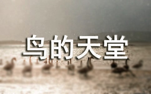有关鸟的天堂教案模板合集10篇