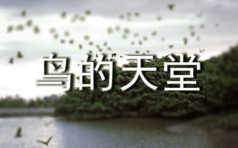 鸟的天堂导游词(集锦15篇)