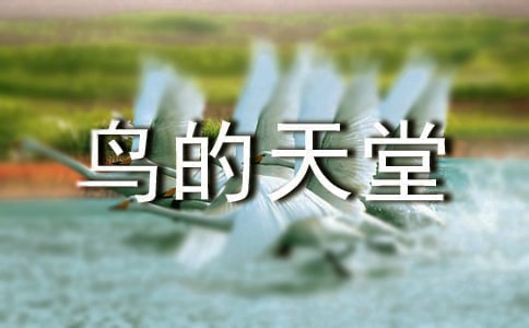 【精选】鸟的天堂教案3篇
