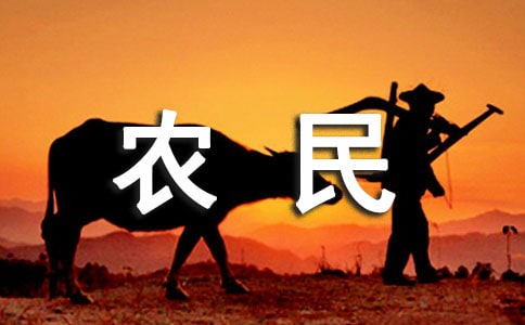 欠农民工工资承诺书范文（精选10篇）