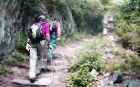 关于爬山日记汇总6篇