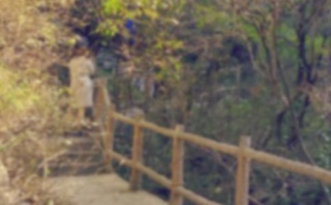 爬山日记集锦十篇