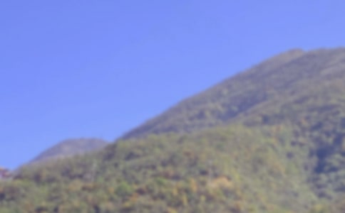 爬山虎的脚教案（优选15篇）