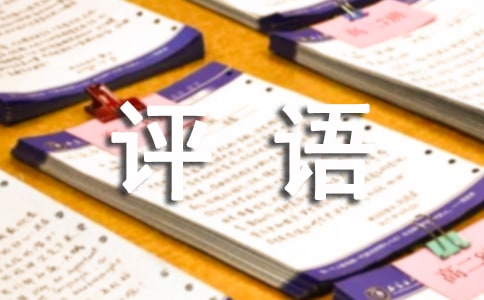 干部个人年终工作评语