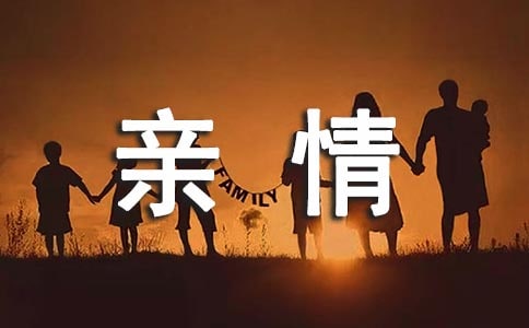 亲情作文初中