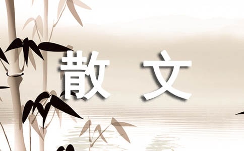 空城散文随笔