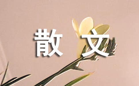 小溪散文随笔