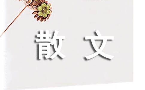赶赴一场冷雨的散文随笔