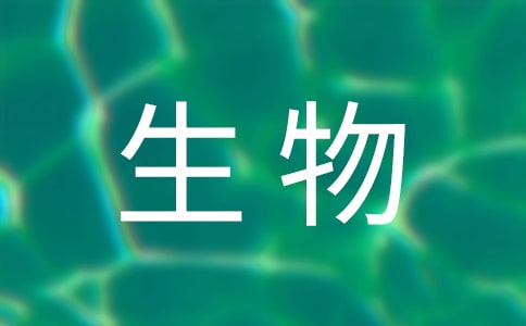 生物备课组长工作总结