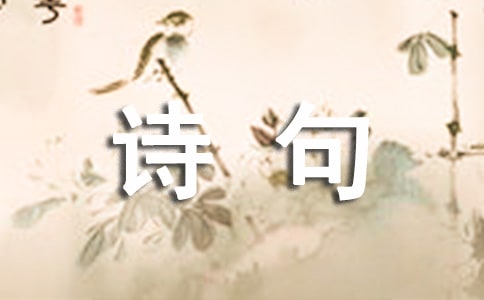 花个性诗句座右铭语录（精选40句）