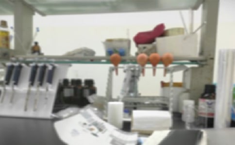 小学科学实验室工作计划