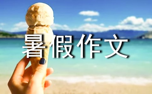 精选初中暑假作文600字汇编六篇