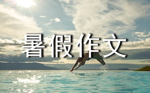 小学二年级暑假作文