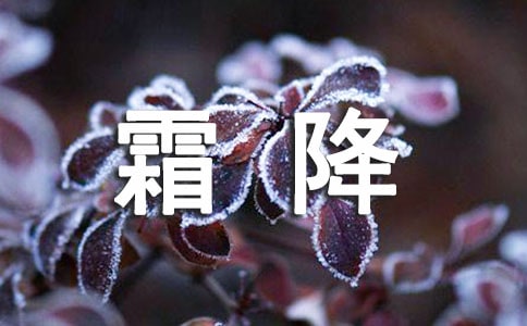 霜降的节气说说