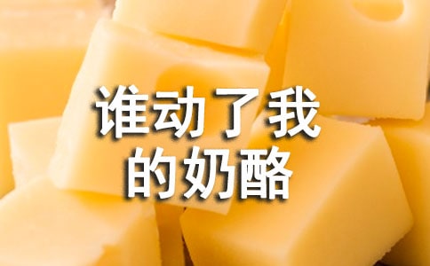 谁动了我的奶酪读后感15篇
