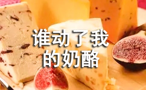 《谁动了我的奶酪?》读后感