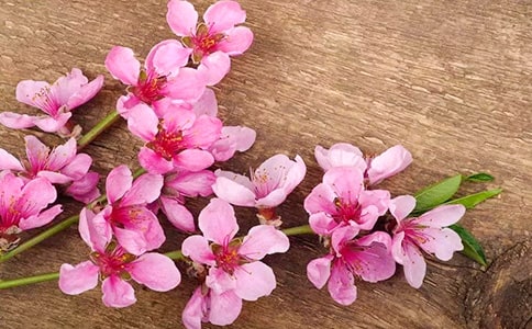 有桃花红，李花白，菜花黄。