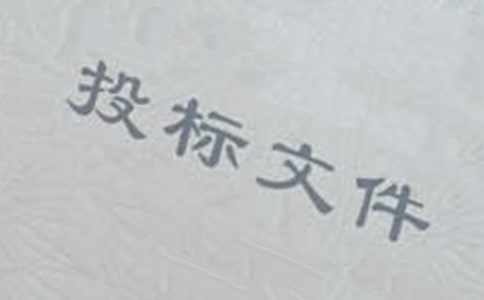 关于投标承诺书模板合集6篇