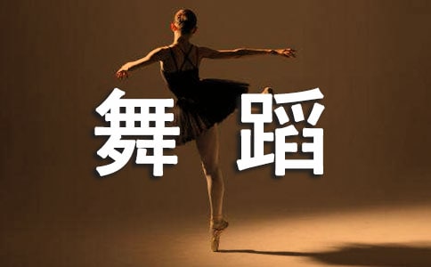 舞蹈教学工作总结