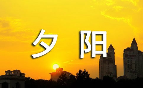 《夕阳真美》教案