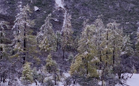 下雪的比喻句