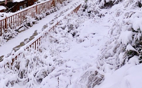 【实用】下雪日记范文4篇