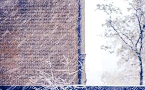 一年级下雪了日记(热门)