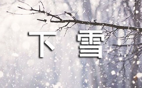 下雪了日记(汇编15篇)