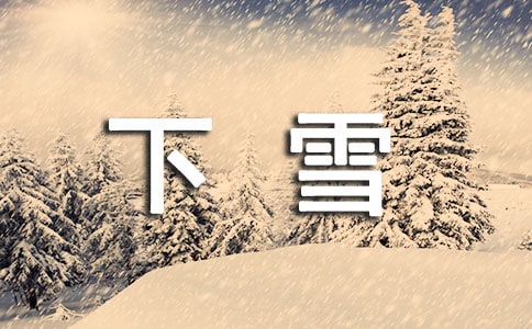 【精品】下雪了小学作文合集6篇
