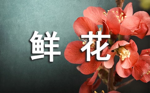 ʻʢ˾