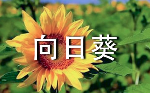 【精选】向日葵小学作文4篇