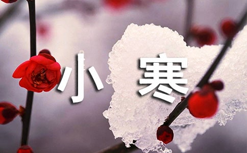 小寒唯美句子摘抄
