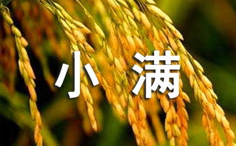 有关小满的简短古诗（精选5首）