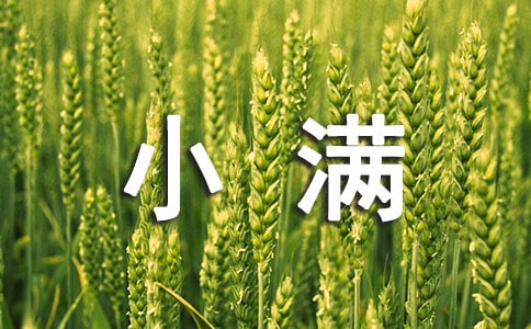 小学学过小满的古诗（精选14首）