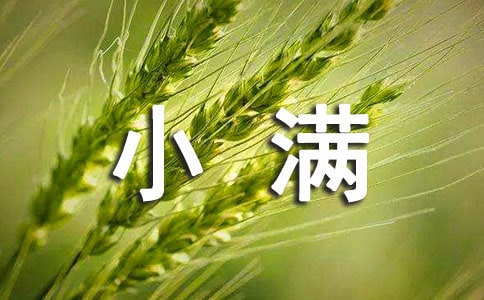 小满有关古诗（精选12首）