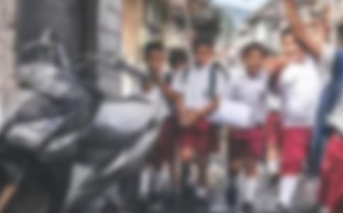 【精品】小学生的作文300字合集6篇