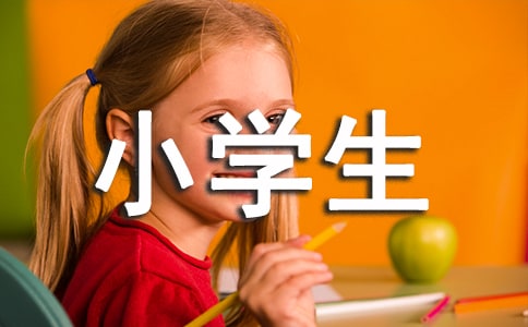 ʵáСѧƪ