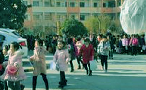 【必备】小学生周记模板合集5篇
