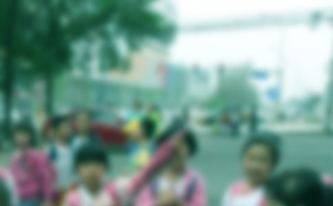 描写的小学生作文