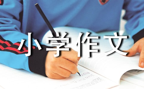 (通用)小学作文300字4篇