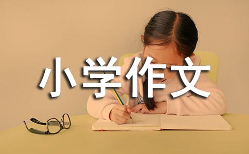 小学作文300字4篇[荐]