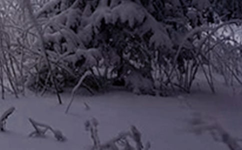 下小雪的说说