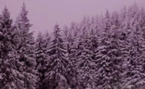关于小雪节气的古诗